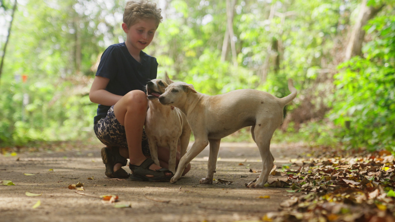 A young volunteer with two rescued dogs from Hope's Haven Dog Rescue Foundation